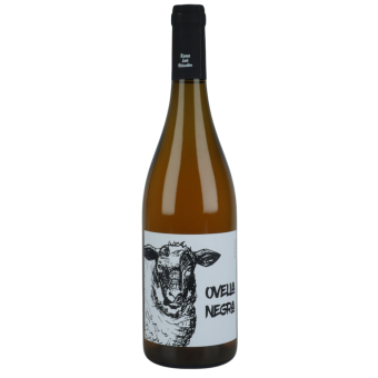 Ramon Jane "Ovella Negra"