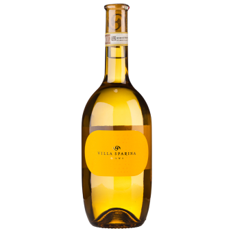 Gavi del Comune di Gavi MAGNUM